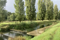 sauvegarde-geneve-photo-aire-photo-aire