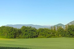 sauvegarde-geneve-vallon-de-l-aire-2020-ver-d-vallon-de-l-aire-2020-ver-d