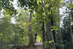 sauvegarde-geneve-img-6576