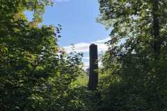 sauvegarde-geneve-img-6599