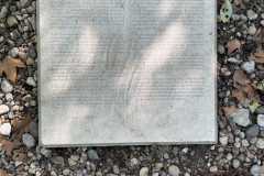 sauvegarde-geneve-img-6614