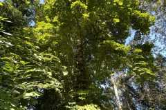 sauvegarde-geneve-img-6615