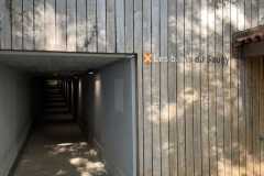 sauvegarde-geneve-img-6619
