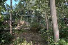 sauvegarde-geneve-img-6629