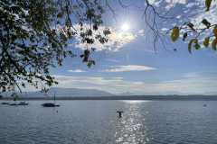 sauvegarde-geneve-img-6633