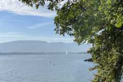 sauvegarde-geneve-img-6635
