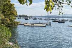 sauvegarde-geneve-img-6637