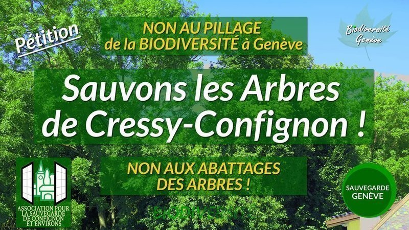 sauvegarde geneve sauvons les arbres de cressy confignon petition cressy confignon 800x450 nopad
