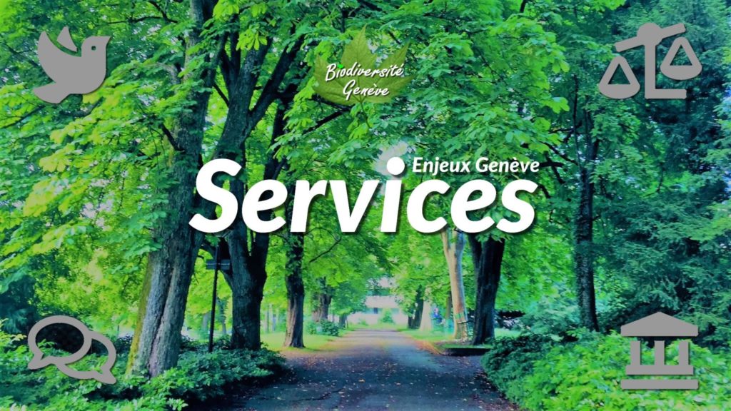 sauvegarde geneve services logo enjeux geneve arbres promenade des crets 2021