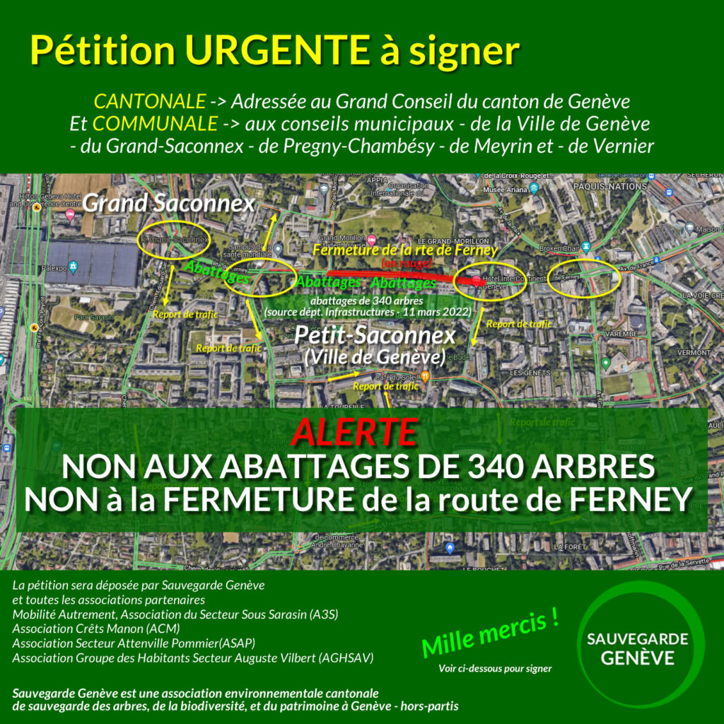 sauvegarde geneve alerte petition non a labattage de 340 arbres et non a la fermeture definitive de la route de ferney petition abbatage 340 arbres plan route de ferney geneve carre