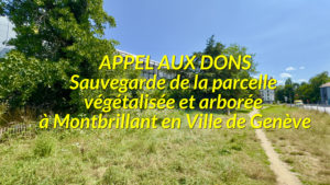 sauvegarde geneve appel aux dons sauvegarde de la parcelle vegetalisee et arboree a montbrillant vdg appel aux dons montbrillant 2024