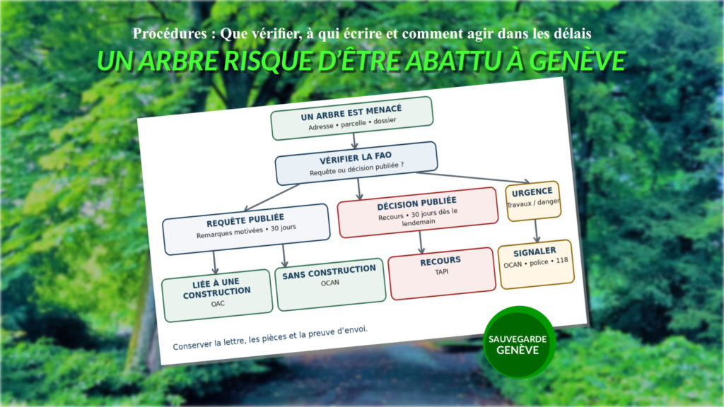 Procédures - Abattages d'arbres dans le canton de Genève 1 sauvegarde geneve procedures abattages darbres dans le canton de geneve abattage d arbres geneve sauvegarde geneve 2026 1