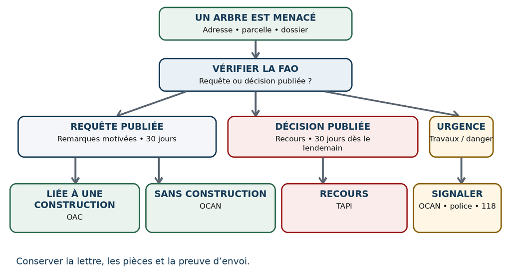 Procédures - Abattages d'arbres dans le canton de Genève 2 sauvegarde geneve sauvegarde geneve procedures abattages darbres dans le canton de geneve abattage d arbres geneve schema decisionnel 2026 sauvegarde geneve 1024x561 sauvegarde geneve procedures abatt